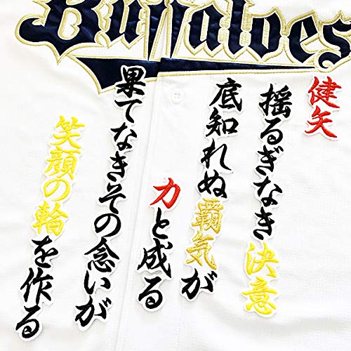 若月健矢選手 新応援歌 ニコニコ動画