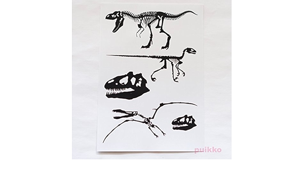 Amazon シルエットシール 恐竜の骨格 モノクロ 透明 シール ステッカー おもちゃ Amazon シルエットシール 恐竜の骨格 モノクロ 透明 シール ステッカー おもちゃ