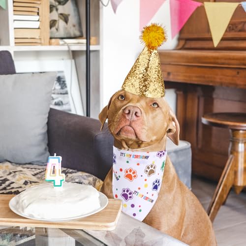 Conjunto de bandana de aniversário de cachorro e chapéu de aniversário de cachorro, roupa de anivers