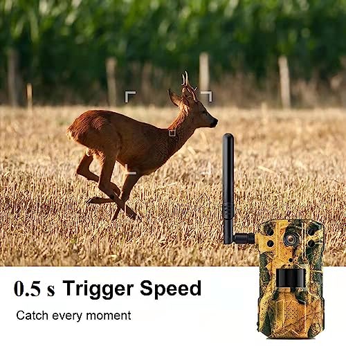 Image of 4G Trail Camera - High Resolution 2K Video, 14MP Images, No Glow Night Vision,Waterproof, Remote APP Access for Wildlife Monitoring, Home Security, Farm Outdoor Surveillance Wireless CCTV
