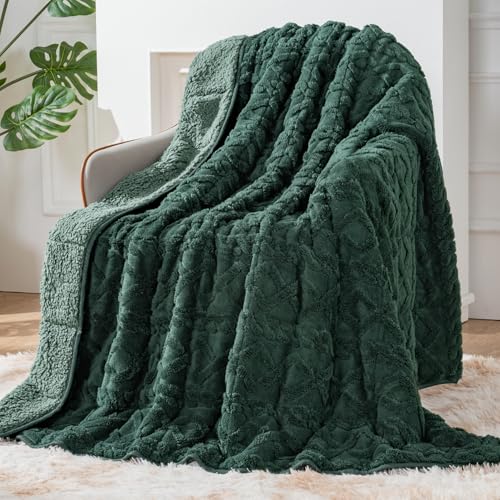 Image of Sherpa Fleece Adult Weighted Blanket Great for Sleep, 15 lbs Dual Sided Soft Fuzzy Heavy Blankets for Couch Bed Sofa, Cozy Warm Fluffy Jacquard Throw for Winter (Green, 48 inch x 72 inch, 15 Pounds)