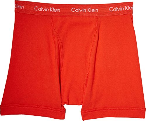 Image of Calvin Klein Men's Cotton Briefs (Pack Of 3)