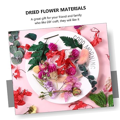 Flores secas artesanales para manualidades DIY miniatura 5
