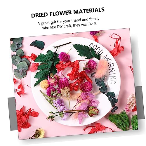 Kit de flores secas estilo aleatorio para manualidades miniatura 5