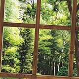 Milageto B0DJNMVT7K lato 4