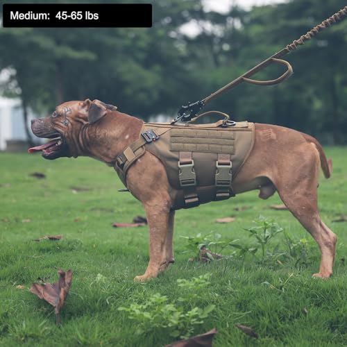 ICEFANG GN3 Tactical Dog Harness with 6X Buckle,Dog Molle Vest with Handle,3/4 Body Coverage,Hook and Loop Panel for ID Patch,No Pulling Front Clip (M (25"-31" Girth), Coyote Brown) - Image 3