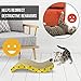 Our Pets OurPets The Wave Curved Catnip Cat Scratcher (Cat Toys for Indoor Cats, Catnip Toys, Cat Gifts & Cat Toys Interactive) [Includes Cosmic Catnip- North-American Grown Catnip]