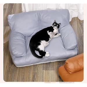 Pet-Sofa-Bed-Vintage-Cat-Puppy-Faux-Leather-Couch-with-Non-Slip-Bottom-for-Cats-or-Small-Medium-Dog-Chair-Grey-Large - Cucciolini Doodles   Pet-Sofa-Bed-Vintage-Cat-Puppy-Faux-Leather-Couch-with-Non-Slip-Bottom-for-Cats-or-Small-Medium-Dog-Chair-Grey-Large