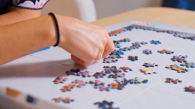 Amazon.com: Ravensburger Puzzle Accessory - Fold & Go Handy Puzzle