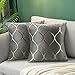 Hanrunsi Coussin Gris Lot de 2 Housses de Coussin Gris et Dorées 40x40cm Velours Décoratif 16 x 16'' Taie d'oreiller Souple Coussins Décoratifs Carrés pour Canapé Chambre Salon