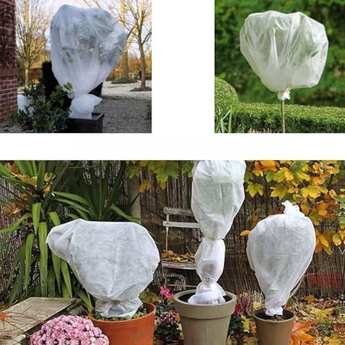 Tissu non tissé de protection contre le gel pour plantes, 3 x 4 m, 6 m, 10 m, 15 m, respirant et résistant aux déchirures, résistant aux UV, blanc