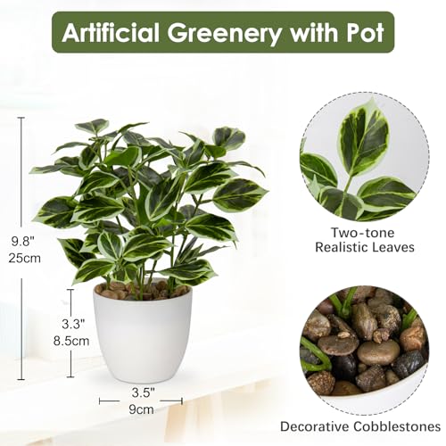 Briful Kunstpflanze Wie Echt Künstliche Ficus Pflanzen im Topf Kleine Dekopflanze für Fensterbank Wohnzimmer Badezimmer Dekoration – Bild 3