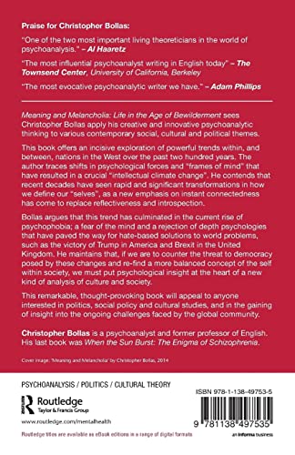 Meaning and Melancholia: Life in the Age of Bewilderment
