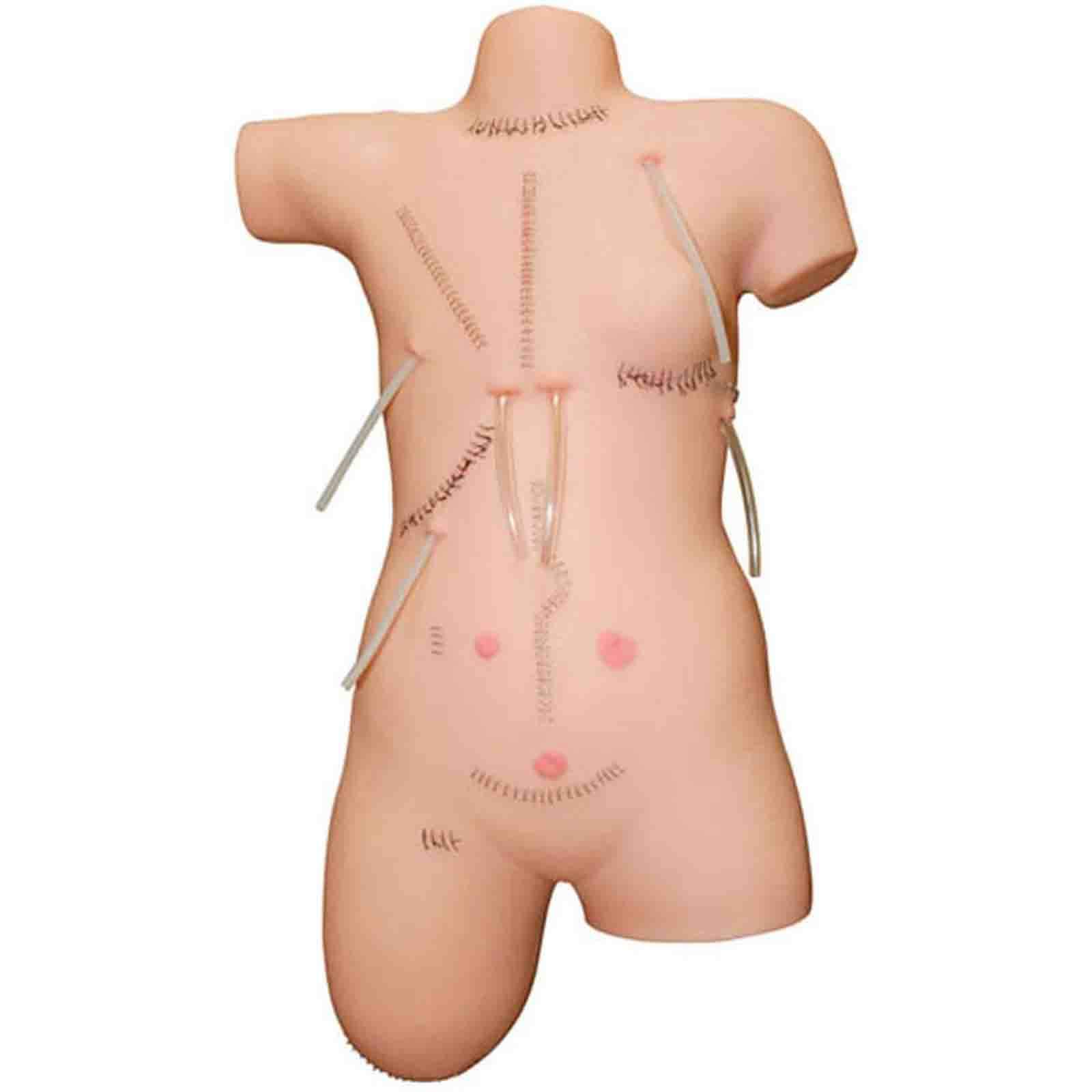 Buy Suture Practice Kit For Medical Students Surgical Suture 