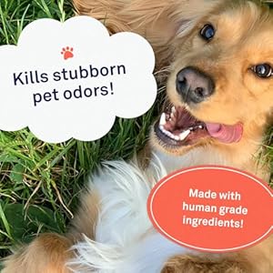 Petpost | Pet Odor Eliminator Spray for Dogs & Cats – Naturally Effective Deodorant and Bad Smell Killer – for Spraying Your Pet or Around The Home 8 oz.