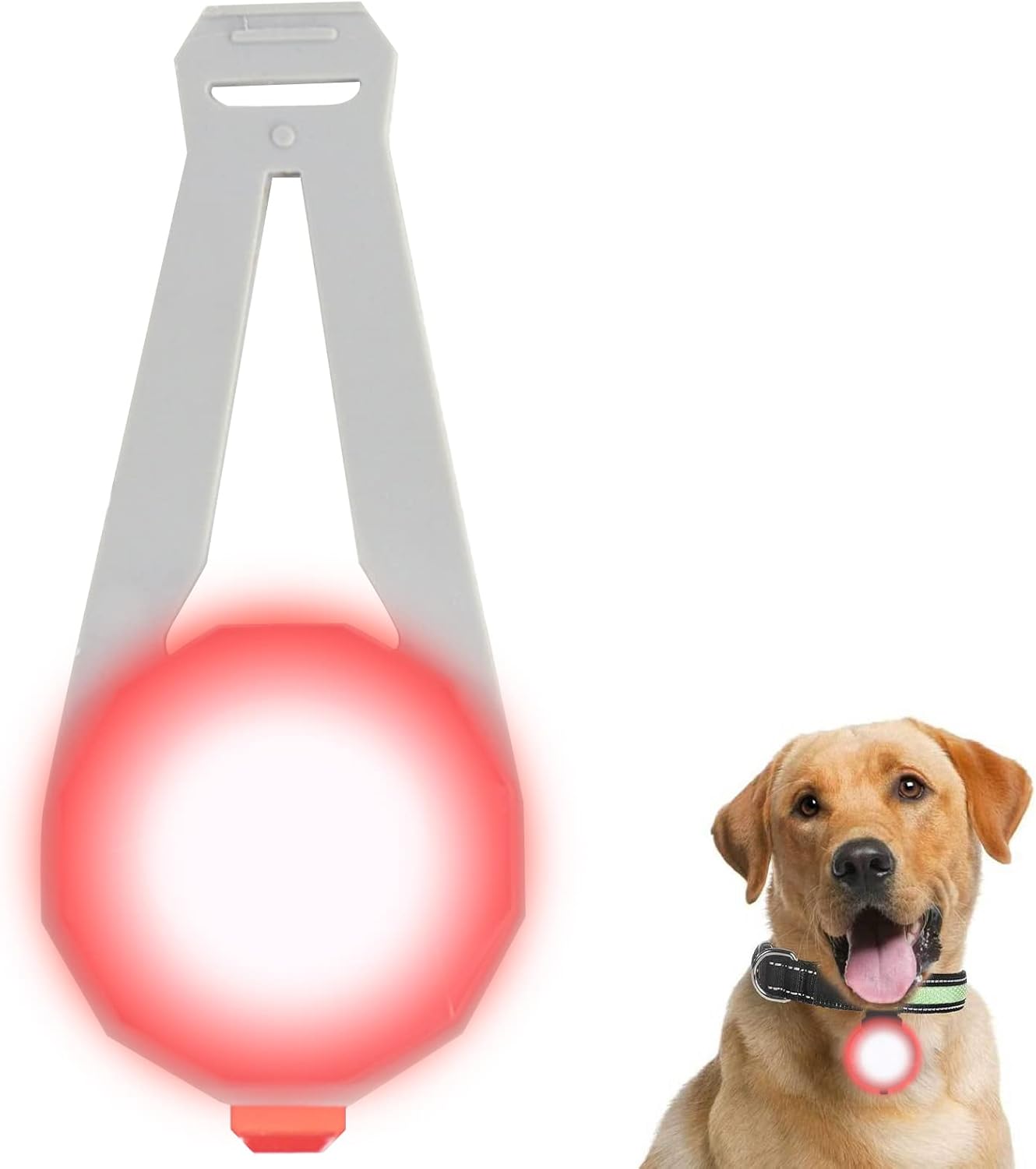 Should I Leave A Light On For Puppy At Night