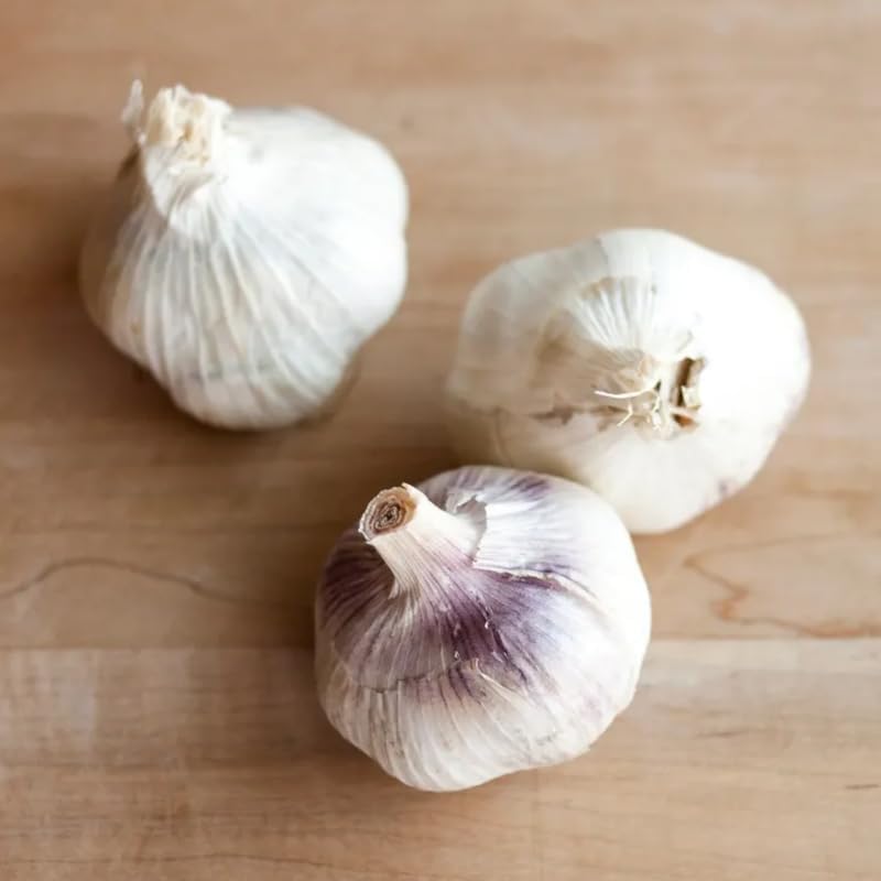 Miniatura 2 de Bombillas de ajo mixtas para plantar, 1 libra, bombillas de ajo tradicionales fáciles de plantar, bulbos de ajo de cuello duro para plantar al aire