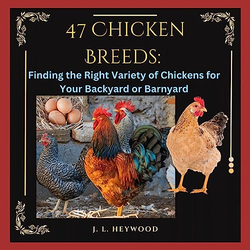 47 Chicken Breeds by J. L. Heywood episode artwork