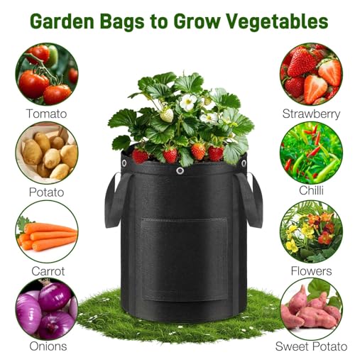 4 Pack 10 Gal LST Window Bags