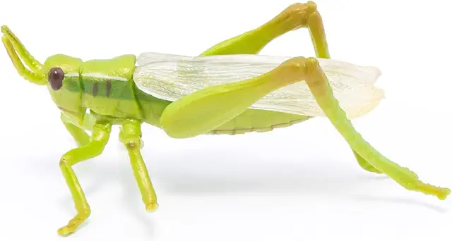 PAPO Handbemalt Heuschrecke Figuren - Wildtiere Sammelbar für Kinder ab 3 Jahren