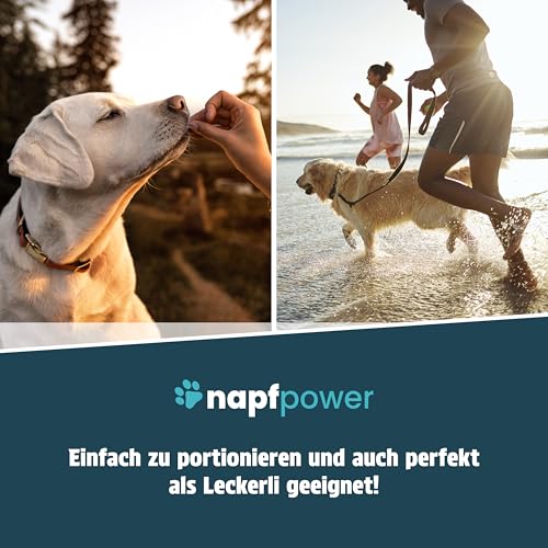 Napfpower Gelenktabletten Hund (125 STK.) mit Grünlippmuschel - Leckerli mit MSM, Teufelskralle, Glucosamin, Hyaluron & Kurkuma Unterstützt die Gelenke & Knochen