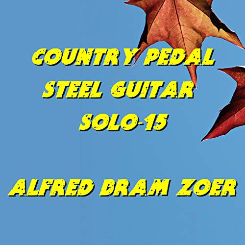 Best Pedal Steel Guitar Solos Expert Review The Modern Record