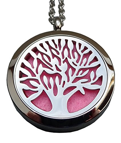 Preisvergleich Produktbild Schmuck Anhänger mit Duftspender oder ätherischen Ölen in 4 Farben. Magnetverschluss PE02.