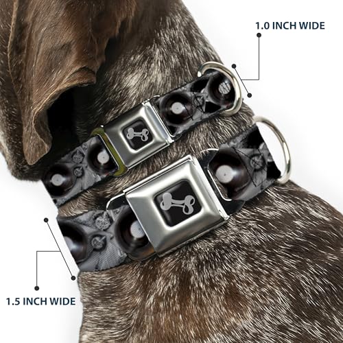 Collier de chien Buckle Down platines grand format aux finitions soignées - 3