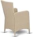 Outdoor Wicker Patio Chair in Cream Finish