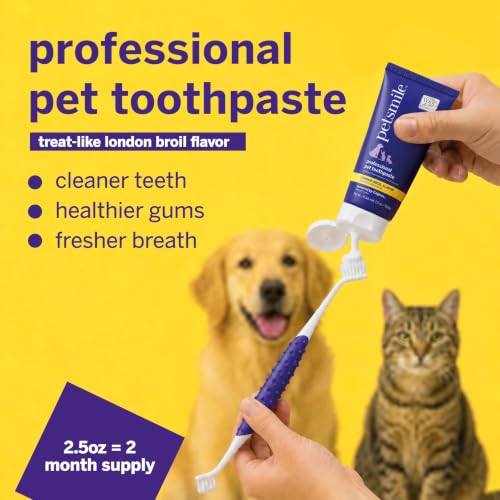 Image of Petsmile VOHC Accepted Pet Toothpaste, London Broil 2.5 Oz, Cats + Dogs | VOHC Accepted, Calprox Powered, Fights Plaque + Tartar, No-Brush Required, Human-Grade, 4-Month Supply, Clinically Proven