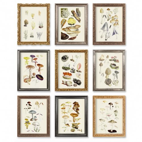 Ink Inc. Vintage Botanical Prints | Mushroom...