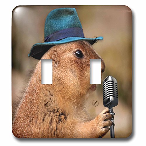 3dRose lsp_255456_2 Xqƃ}CNgOXCb`t̃v[[hbỎ摜