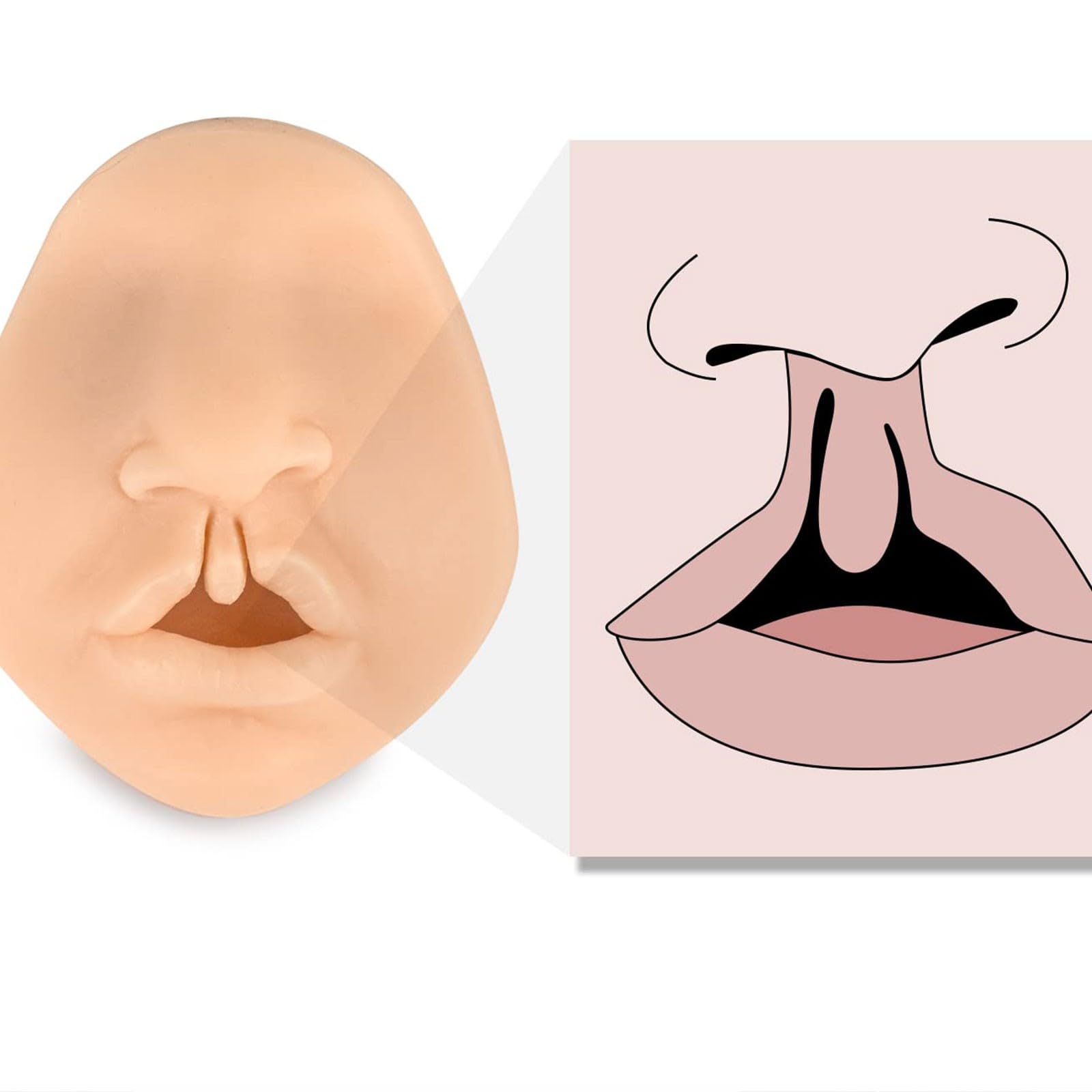 Model Cleft Lip do treningu szwów, symulator ust 3D, miękki silikonowy przyrząd do ćwiczeń do piercingu i technik chirurgicznych, idealny do edukacji medycznej