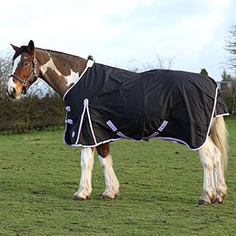 AUTUMNN EQUESTRIAN 50G FILL HORSE TURNOUT RUG LIGHTWEIGHT STANDARD NECK HORSE RUG WATERPROOF 600D HORSE RUG (6'3'') Cover