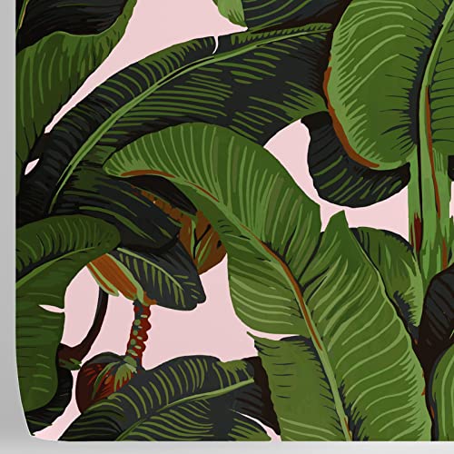 This Is The Best Pink Banana Leaf Wallpaper