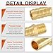 Rebower 1 Pack Brass Hose Barbs to NPT Male Adapter, 3/8