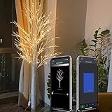 6FT Large Christmas Tree with Lights, Smart Lighted Birch Tree with APP Home Decor, Warm White, Timing, Dimmer, Group Control, Music Sync, Christmas Room Decorations Indoor