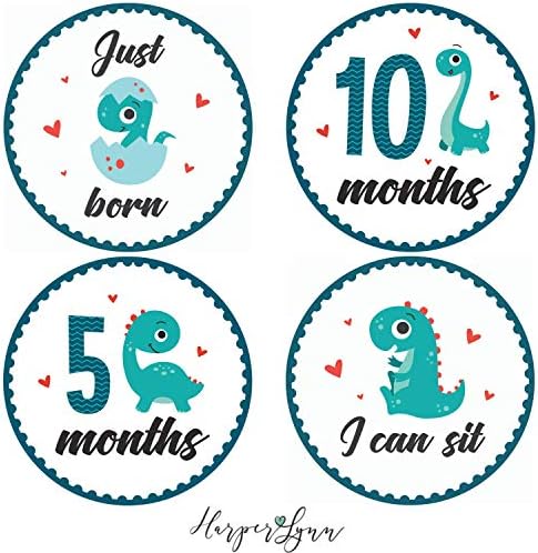Baby Monthly Milestone Onesie Stickers by Harperlynn (16 Stickers - Dinosaur) - Newborn Photo Prop for Pictures - Great Gift for Parents of Happy Infant Boy or Girl - 4" Round- Fits Memory Planners