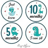 Baby Monthly Milestone Onesie Stickers by Harperlynn (16 Stickers - Dinosaur) - Newborn Photo Prop f