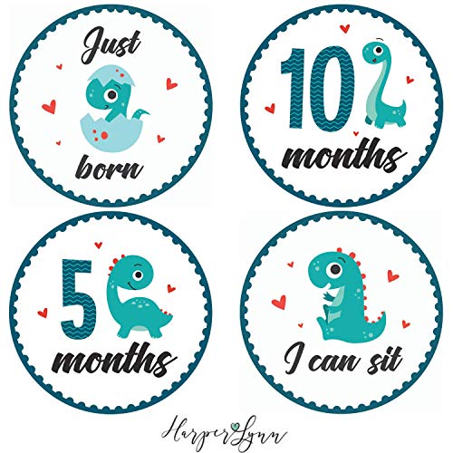 Image of Baby Monthly Milestone Onesie Stickers by Harperlynn (16 Stickers - Dinosaur) - Newborn Photo Prop for Pictures - Great Gift for Parents of Happy Infant Boy or Girl - 4" Round- Fits Memory Planners