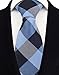 Rosiika Men Big Boys Cool Blue White Black Woven Silk Ties Skinny Regular Soft Fashion Designer Checkered Neckties
