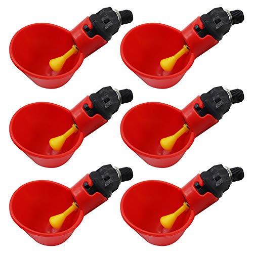 Abreuvoir pour Poulets, Paquet de 6 Raccords en t en Pvc, Avec Filetage Ftp 1/8 Pouce, Abreuvoir Automatique Pour Poulets, Canards, Cailles et Oiseaux