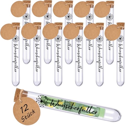 Joycabin 12 Stück Wunscherfüller Geldgeschenk, 12 Transparente Reagenzgläser 12 Löwenzahn Transferaufkleber 12 Kraftpapieranhänger, Geldgeschenke für Geburtstag Weihnachten Hochzeit Kommunion
