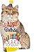 Produktbild Amscan 3539401 Folienballon Super Shape Happy Birthday Katze