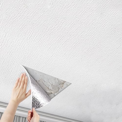 RENLXFI Deckenpaneele Deckenplatten Deckentapetenaufkleber 5 10 20 30 40 50 M Lang, DIY Abziehen Und Aufkleben Dekorative Fliesen Weiß, Wanddecken Renovierung Hintergrund Ersatz(W 75cm,L 20m) RENLXFI Deckenpaneele Deckenplatten Deckentapetenaufkleber 5 10 20 30 40 50 M Lang, DIY Abziehen Und Aufkleben Dekorative Fliesen Weiß, Wanddecken Renovierung Hintergrund Ersatz(W 75cm,L 20m)