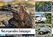 Produktbild Naturparadies Galapagos - UNESCO Weltkulturerbe (Wandkalender 2020 DIN A3 quer): Die Galapagos Inseln - ein letztes Natur-Juwel, entdeckt von Charles ... (Monatskalender, 14 Seiten ) (CALVENDO Natur)