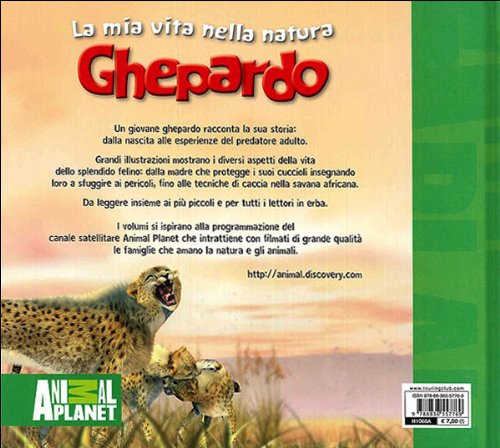Ghepardo