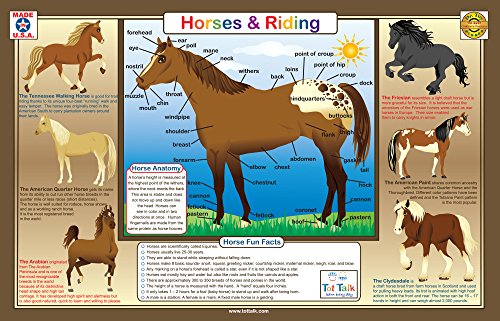 Tot Talk Horses and Riding Educational Placemat for Kids – Made in USA – Durable, Double-Sided, Placemat with Horse Breeds, Facts, Riding Styles & More – Waterproof, Wipeable, 17.5” x 11.5”