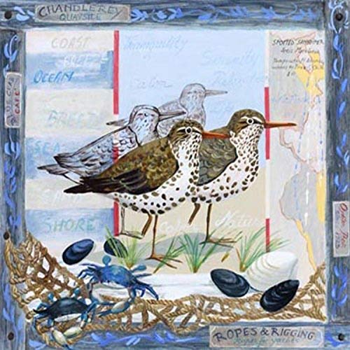 BUY ART FOR LESS Officially Licensed Spotted Sandpiper by Adrianna Art Poster - 8 x 8 Inch - Decorative Print - Poster Paper - Ready to Frame