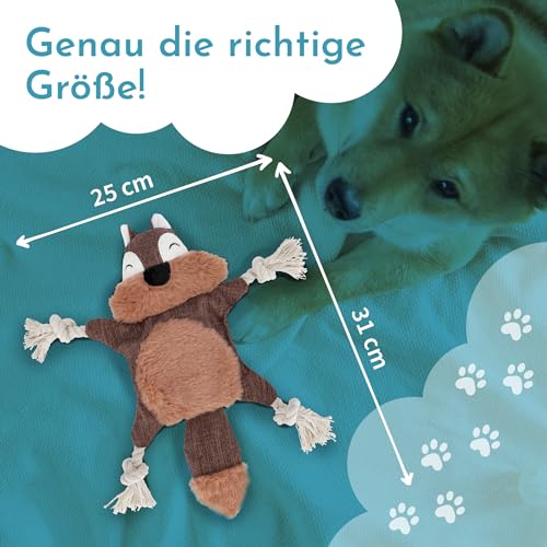 Hafenbande Robustes Hundespielzeug quietschend | Welpenspielzeug mit Raschelfolie | Kuscheltier für kleine und mittelgroße Hunde bis 25kg | süßes Eichhörnchendesign